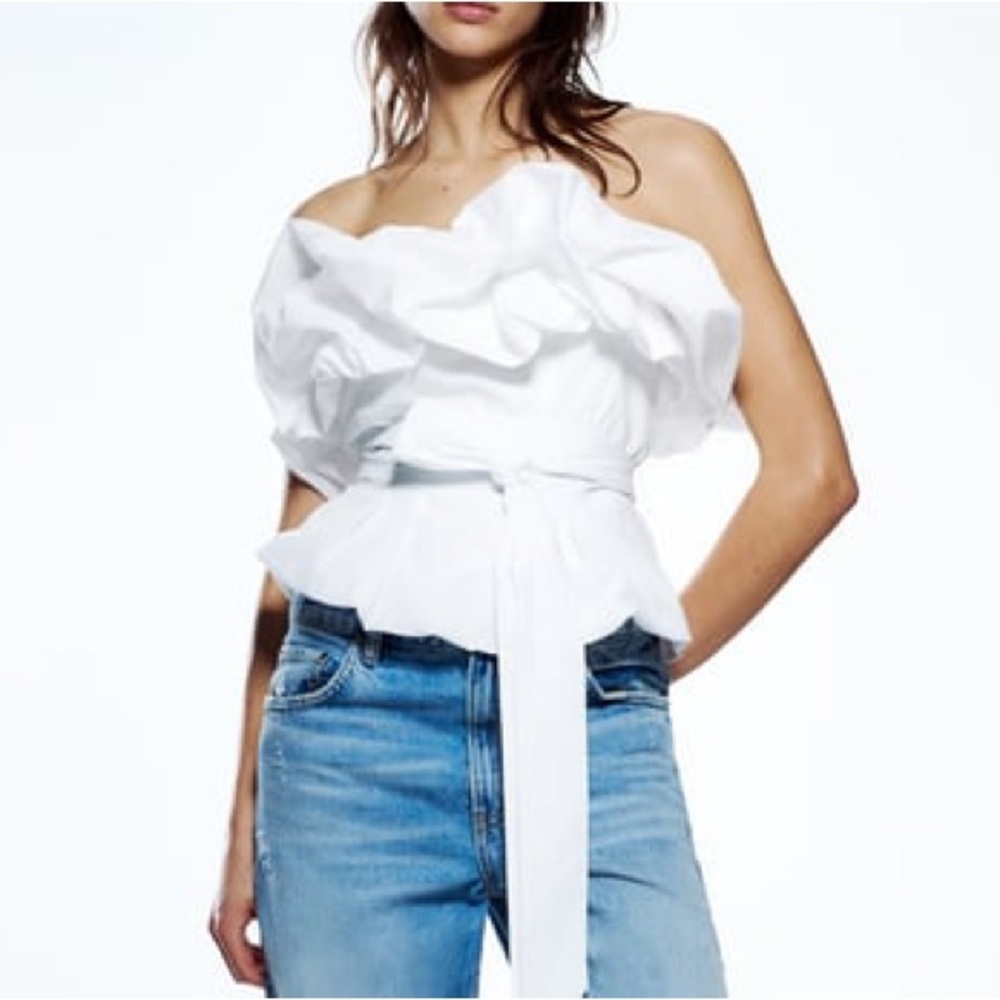 Zara Voluminous Poplin Top (L)